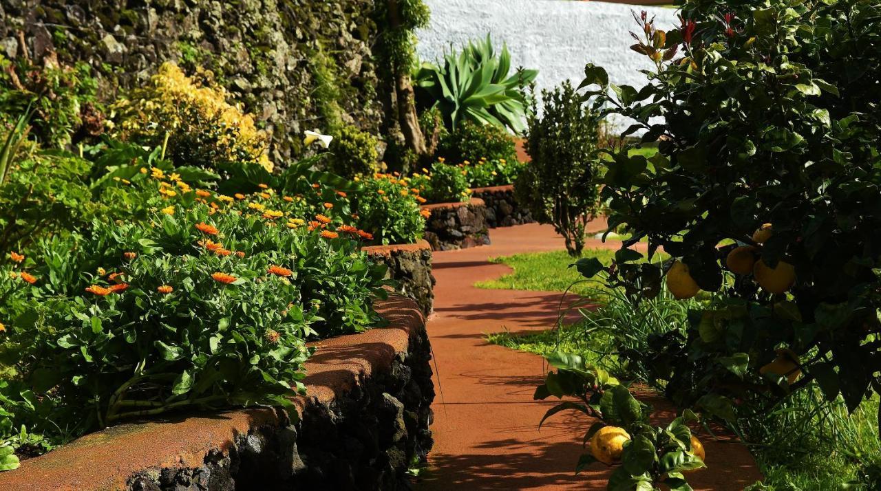 Quinta Dos Sentidos , Rustic Holiday Houses In São Vicente Ferreira Kültér fotó