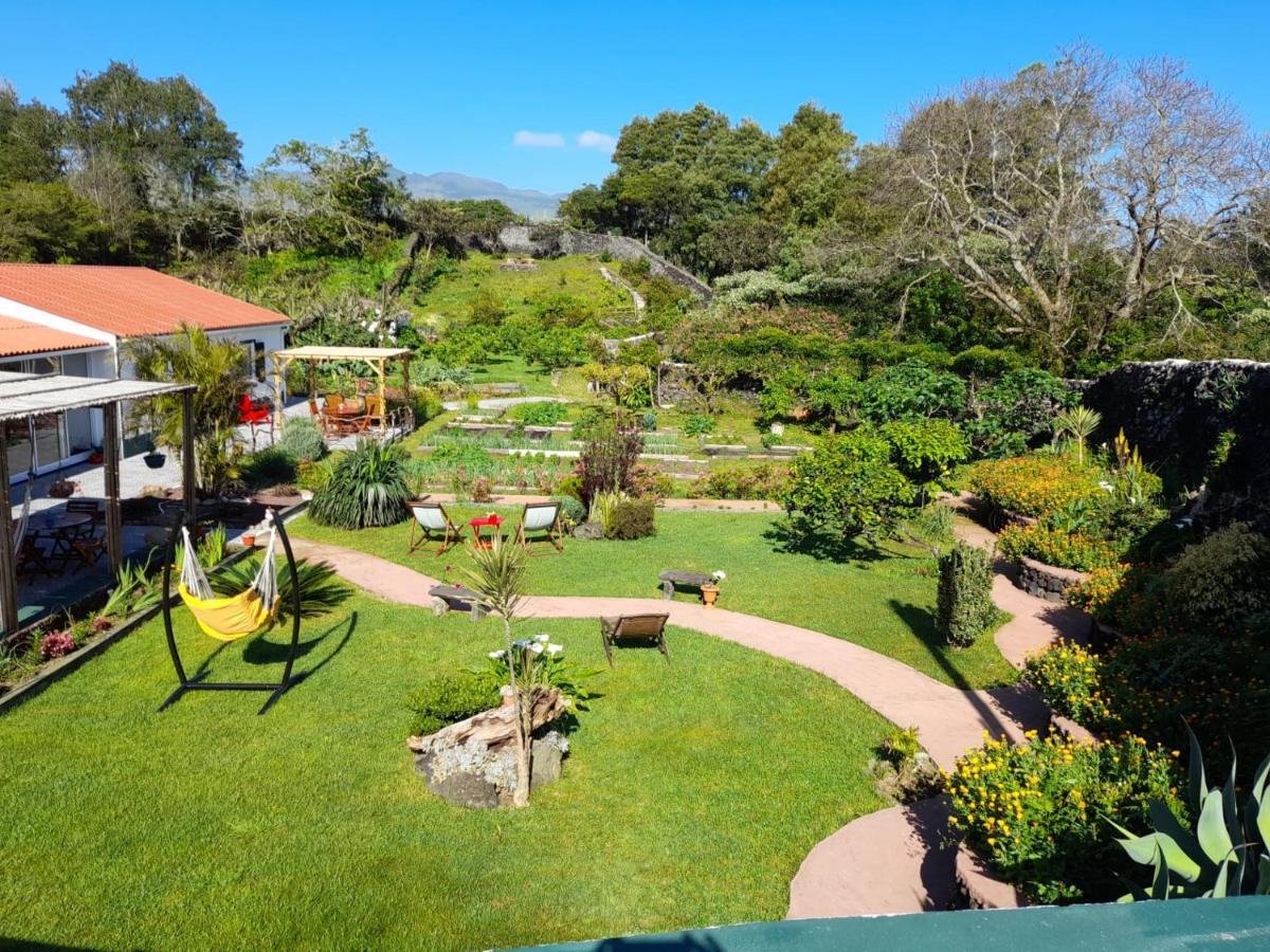 Quinta Dos Sentidos , Rustic Holiday Houses In São Vicente Ferreira Kültér fotó