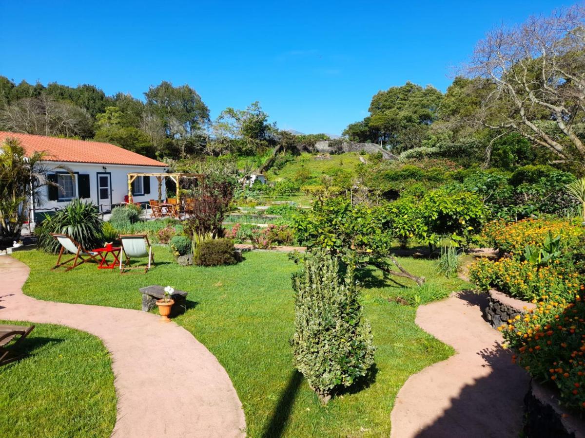 Quinta Dos Sentidos , Rustic Holiday Houses In São Vicente Ferreira Kültér fotó