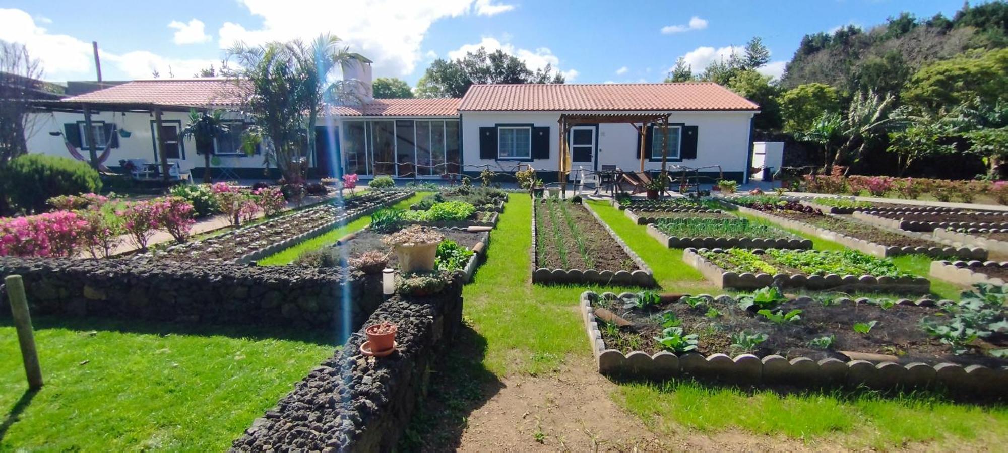 Quinta Dos Sentidos , Rustic Holiday Houses In São Vicente Ferreira Kültér fotó
