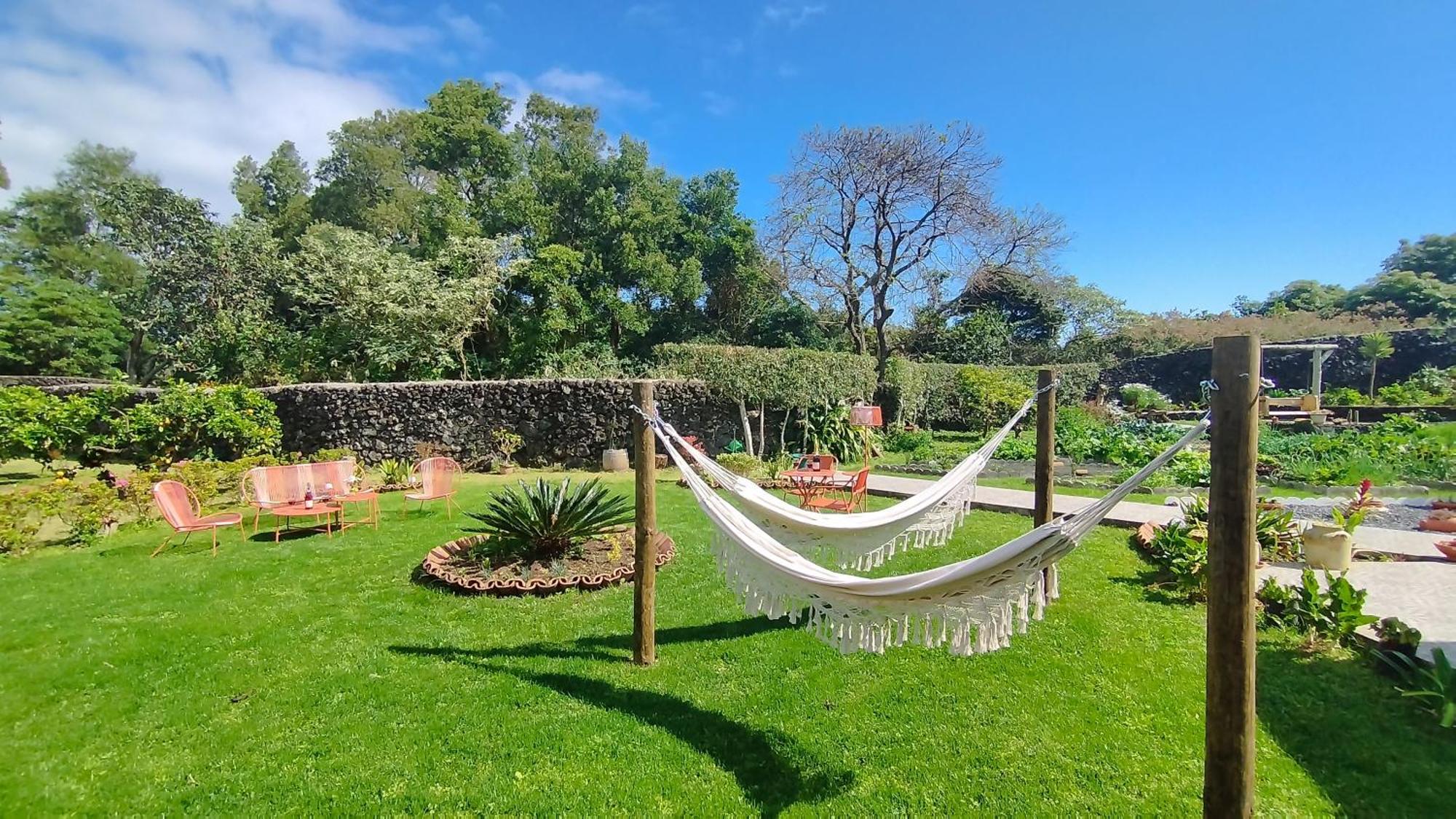 Quinta Dos Sentidos , Rustic Holiday Houses In São Vicente Ferreira Kültér fotó