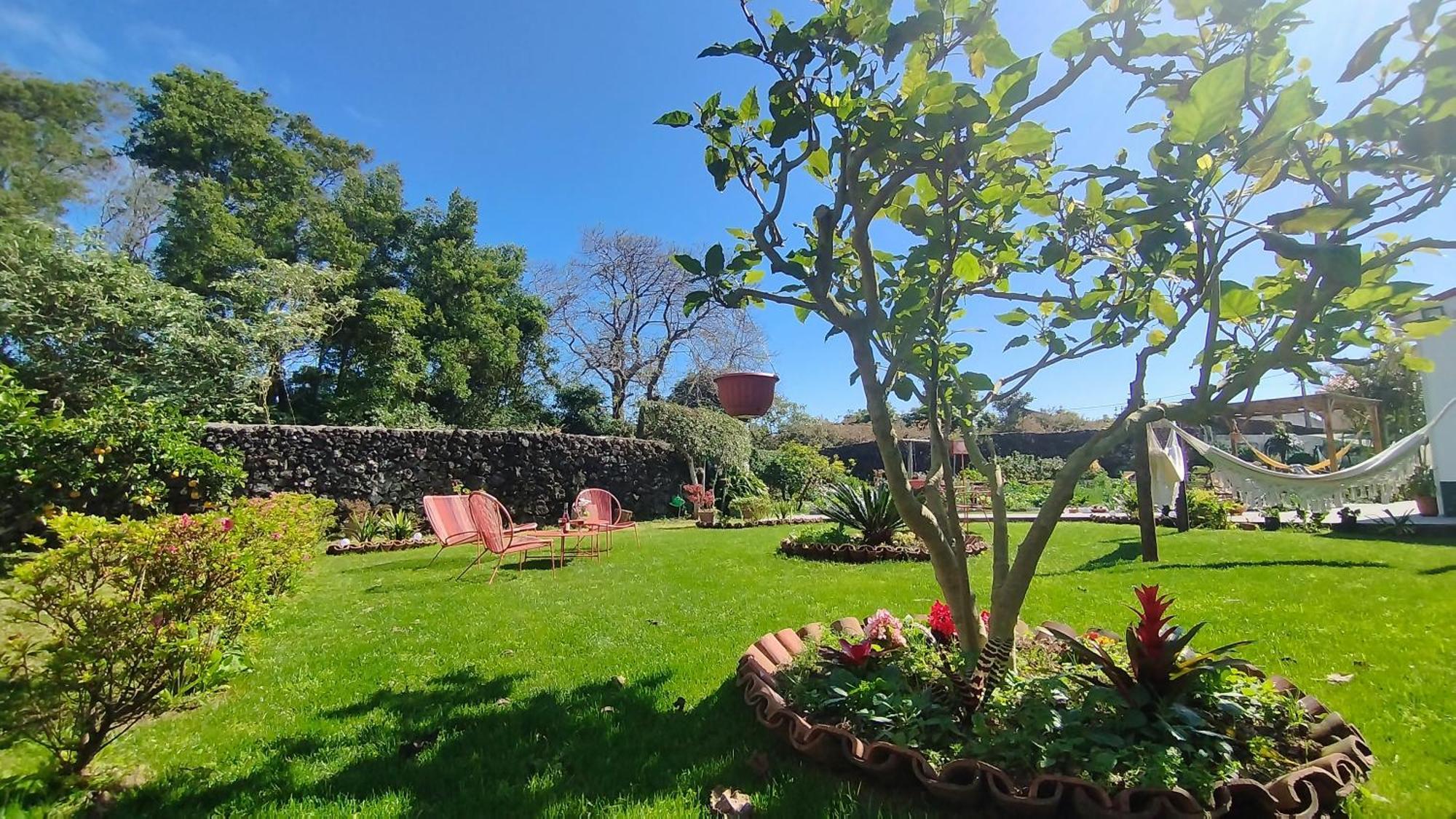 Quinta Dos Sentidos , Rustic Holiday Houses In São Vicente Ferreira Kültér fotó