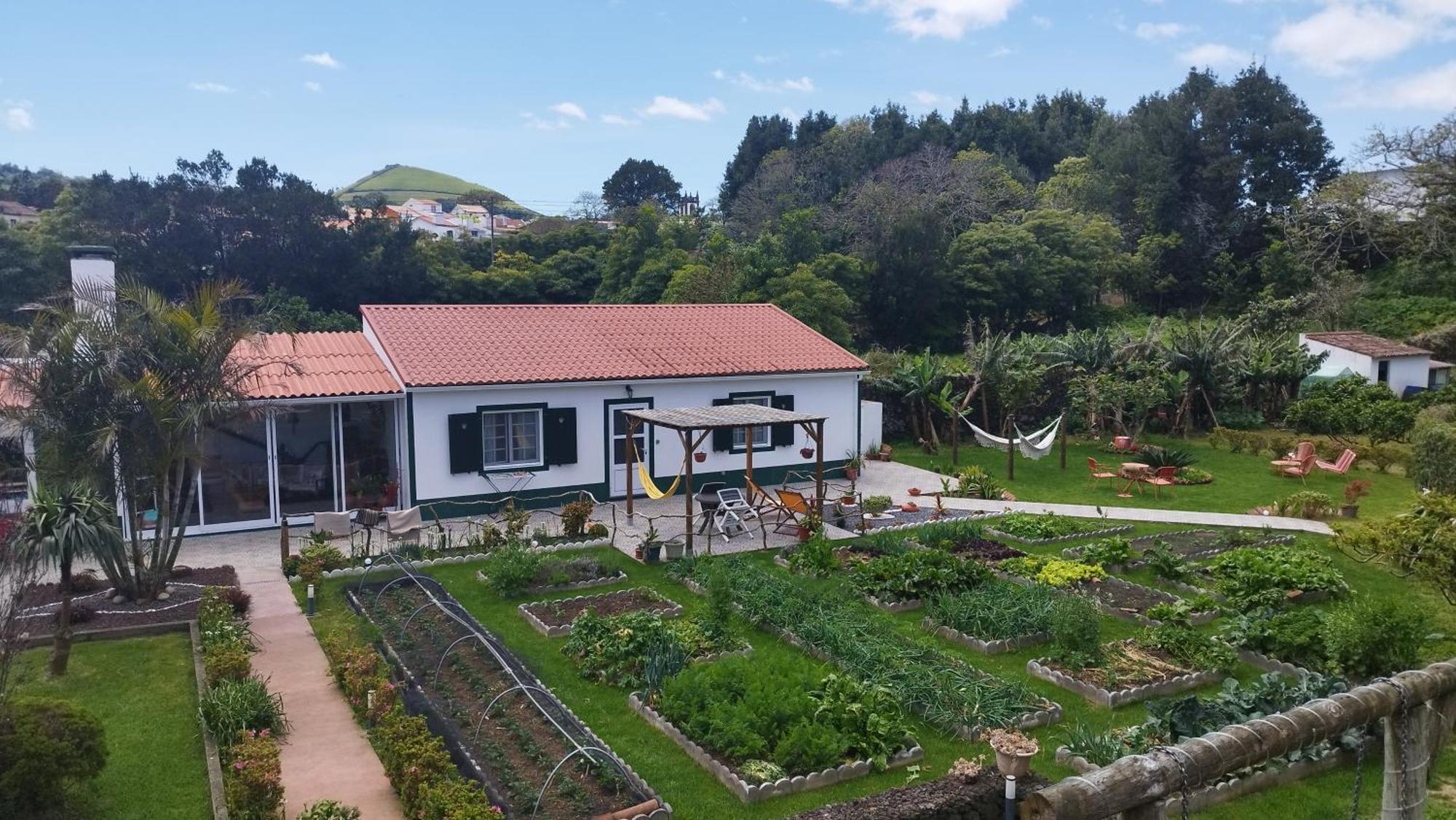 Quinta Dos Sentidos , Rustic Holiday Houses In São Vicente Ferreira Kültér fotó