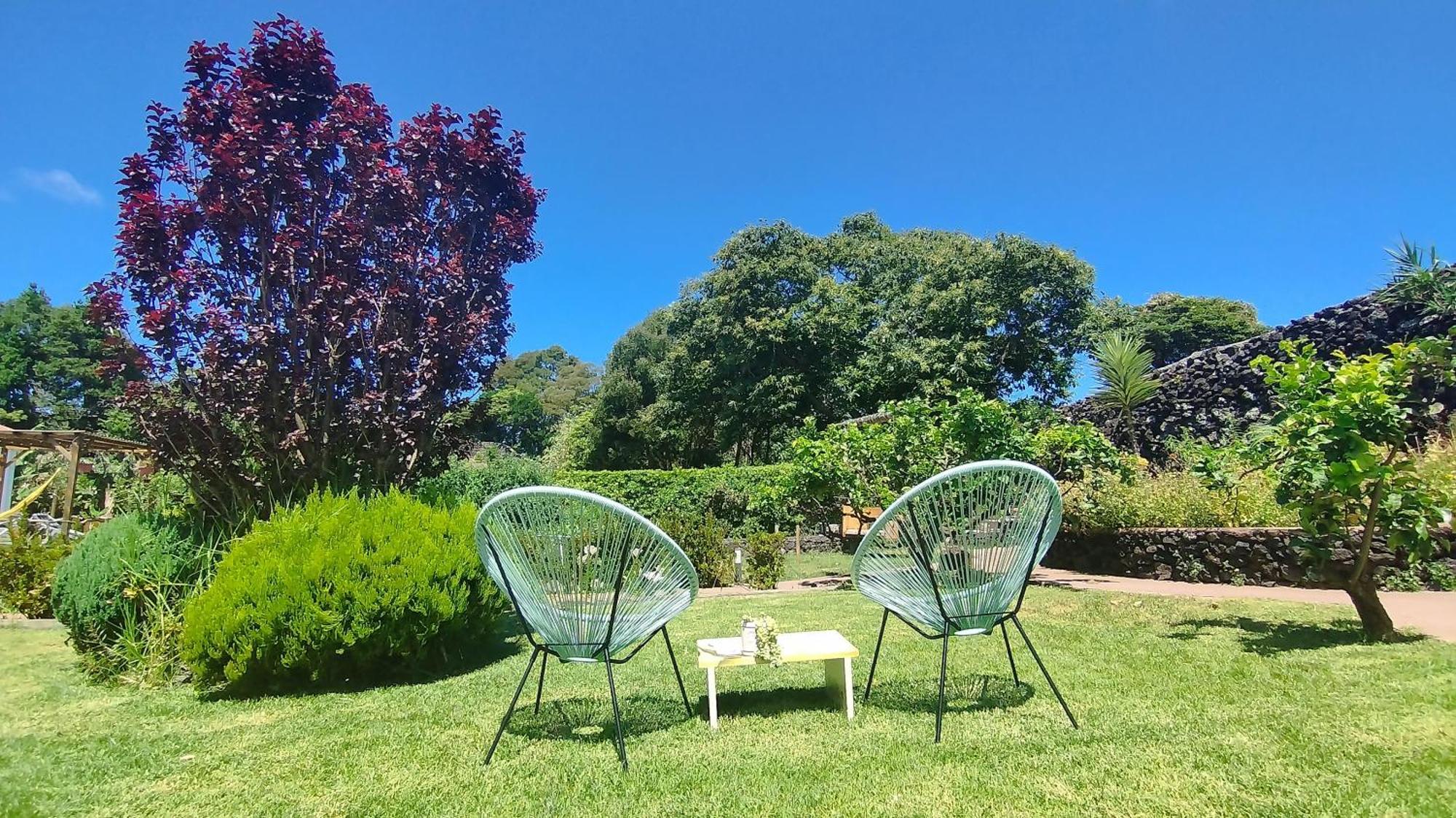 Quinta Dos Sentidos , Rustic Holiday Houses In São Vicente Ferreira Kültér fotó