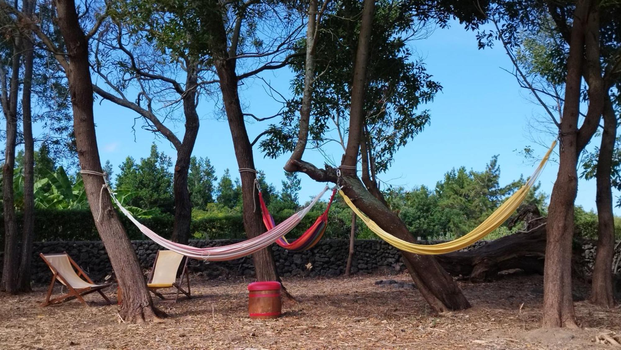 Quinta Dos Sentidos , Rustic Holiday Houses In São Vicente Ferreira Kültér fotó